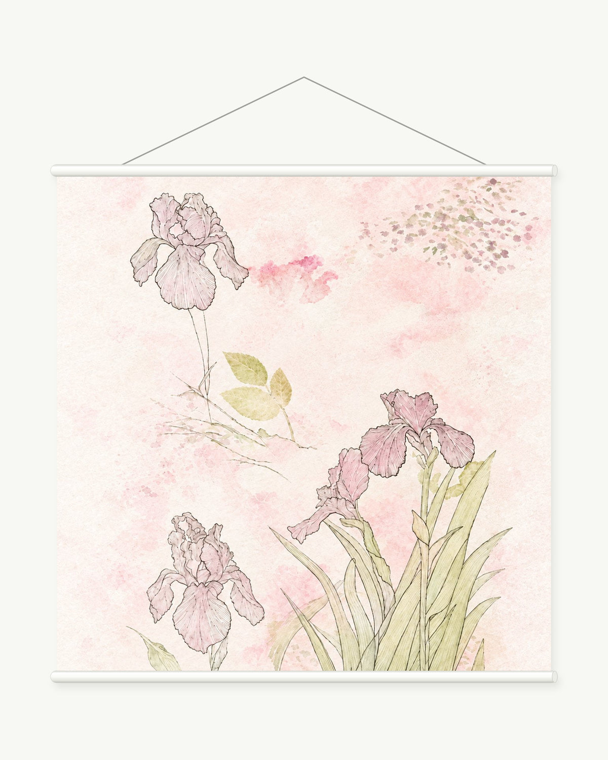 Delicate Iris Study