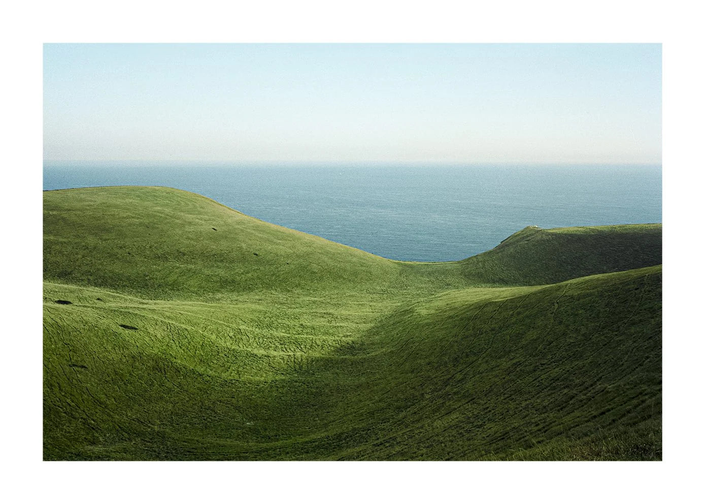 Dorset - clean artwork preview