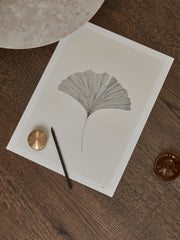 Ginkgo Leaf - gallery