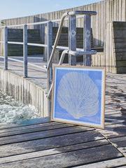 Sea Lavender - gallery