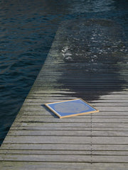 Sea Lavender - gallery