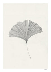 Ginkgo Leaf - clean artwork preview