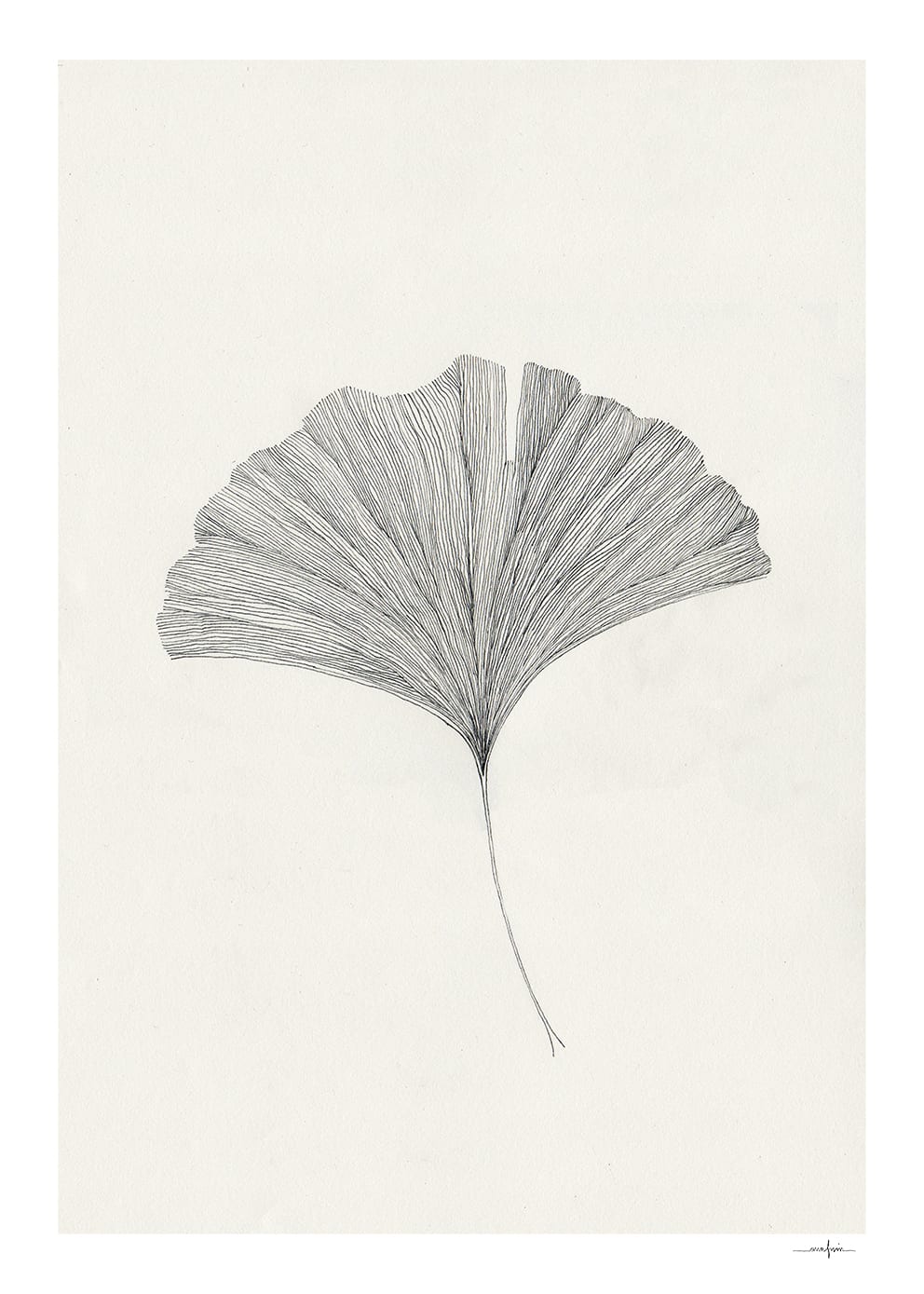 Ginkgo Leaf - clean artwork preview
