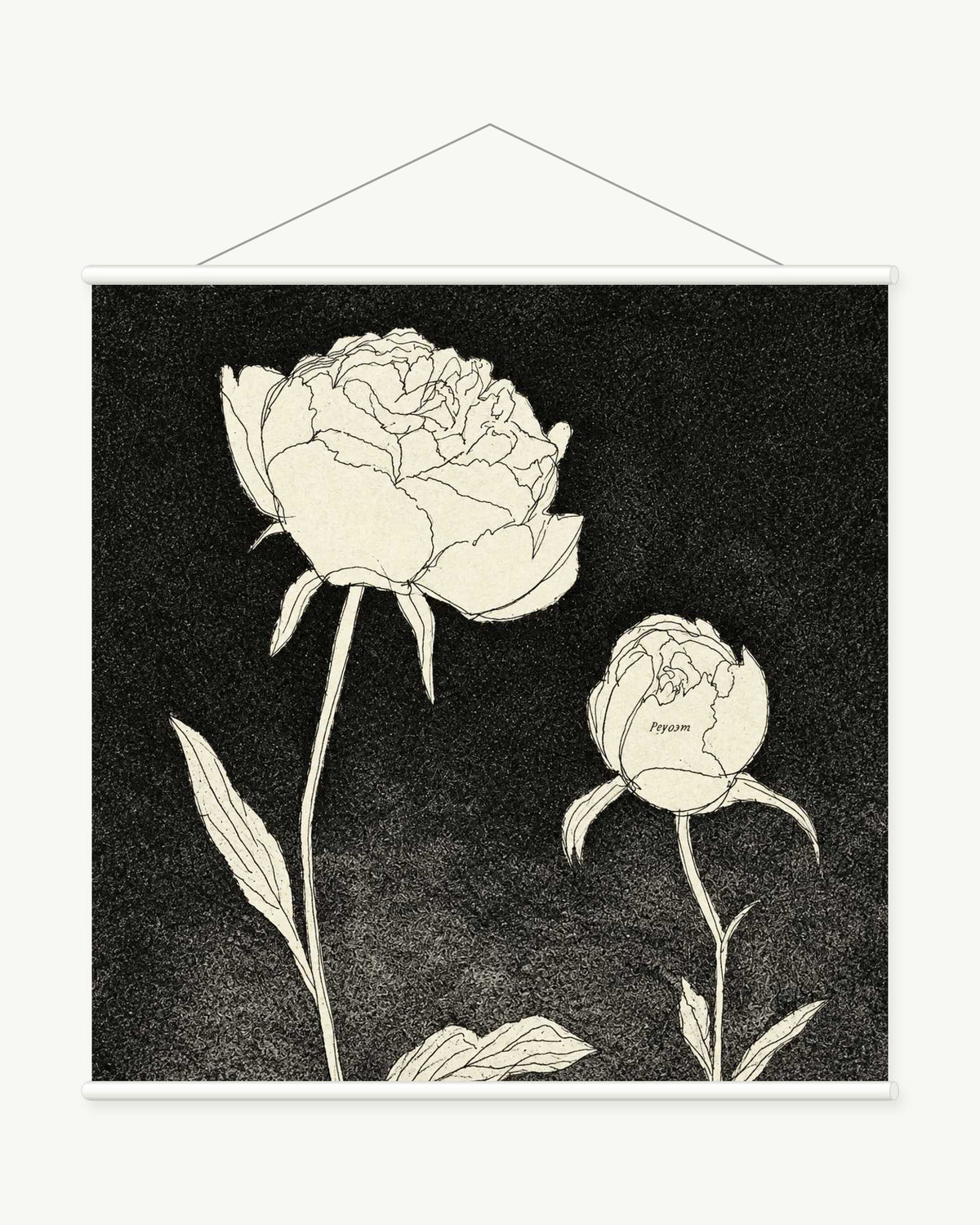 Midnight Peony art print with included white cylindrical hanging rods