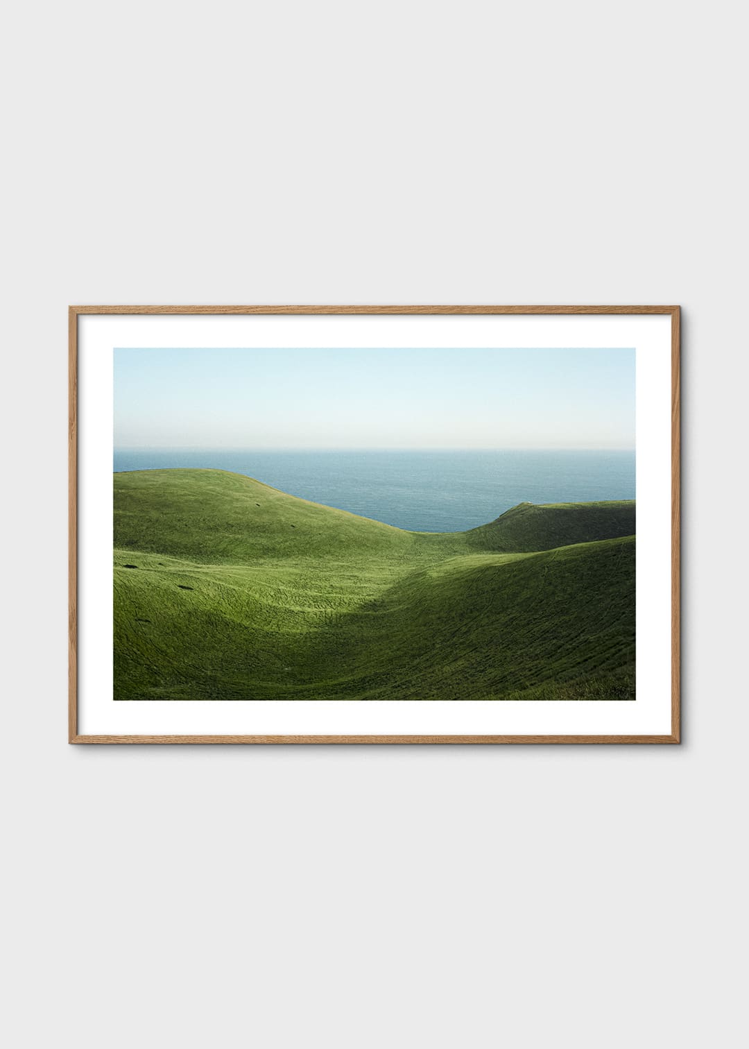 Dorset