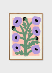 Purple Poppies - primary
