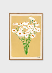 Daisies - primary