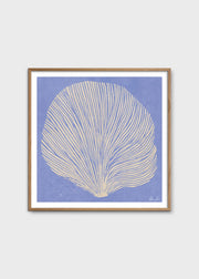 Sea Lavender - primary