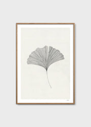 Ginkgo Leaf - primary